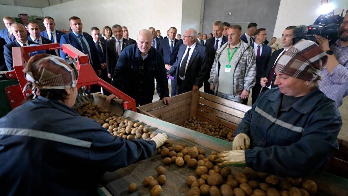 北海道札幌冈萨多vs RB大宫松鼠_白俄总统卢卡申科访华北海道札幌冈萨多vs RB大宫松鼠，真没把自己当外人，准备带几麻袋土豆当礼物，送给各国领导人！