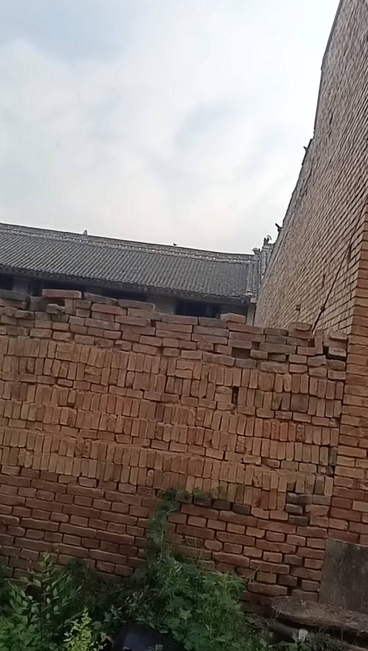 皇冠信用网在线开户_监控曝光！运城一男子因前女友拒复合持刀闯入家中皇冠信用网在线开户，女子哥哥在家门口遇害，案件将开庭